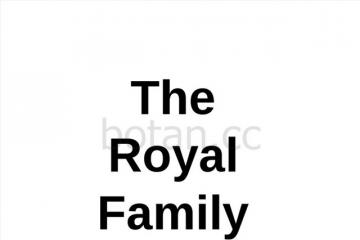 Royal family presentation in the UK