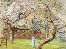 “The Cherry Orchard The Cherry Orchard summary